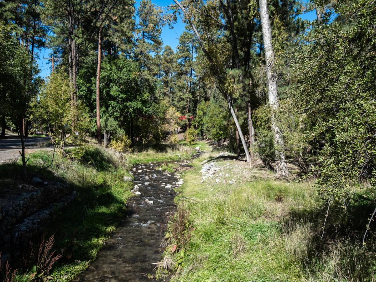 Perfect Cabin, 2 Bedrooms, Fireplace, Midtown, Sleeps 5 Ruidoso Exterior foto